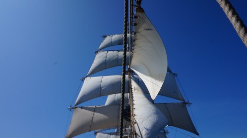 Christian Radich for fulle seil